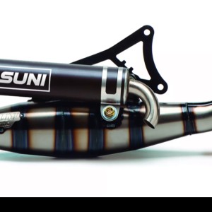 Minarelli horizontal Yasuni R