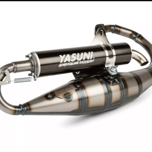 Minarelli vertical Yasuni R