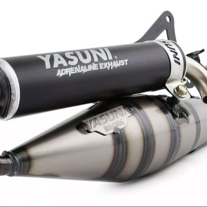 Minarelli horizontal Yasuni Z