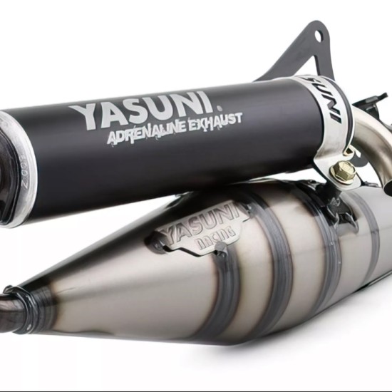 Minarelli horizontal Yasuni Z