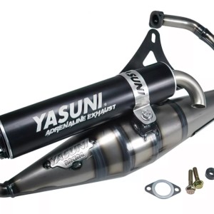Minarelli vertical Yasuni Z