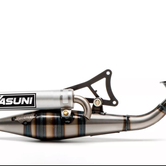 Minarelli horizontal Yasuni Z