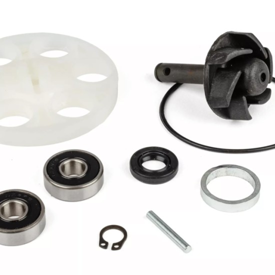 WATER PUMP REPAIR KIT MINARELLI