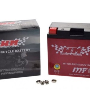 BATTERY WT12B-BS ( YT12B-BS ) (GEL) WM